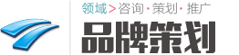 公司网站
